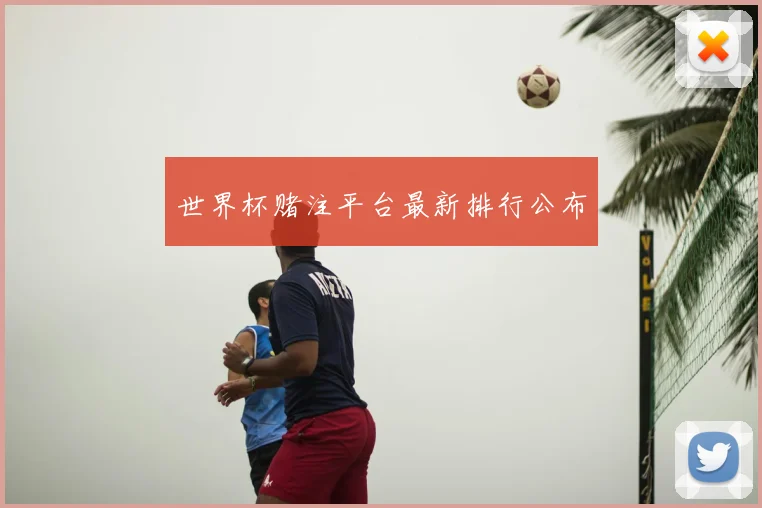 世界杯赌注平台最新排行公布