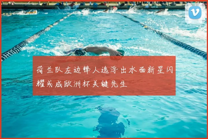 荷兰队左边锋人选浮出水面新星闪耀或成欧洲杯关键先生