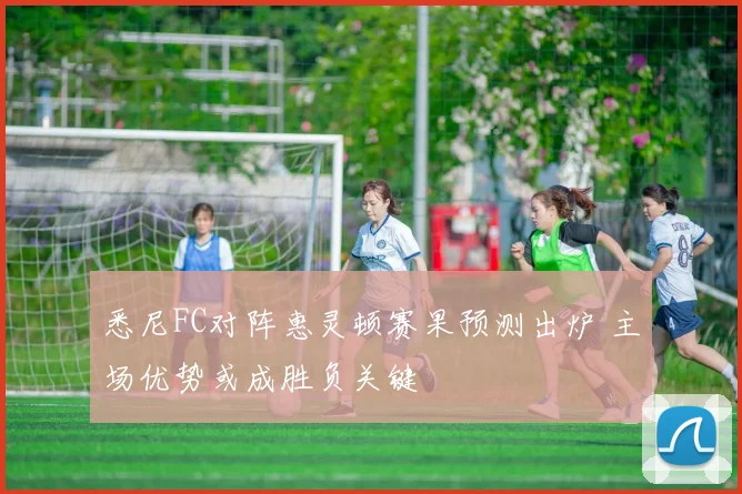 悉尼FC对阵惠灵顿赛果预测出炉 主场优势或成胜负关键