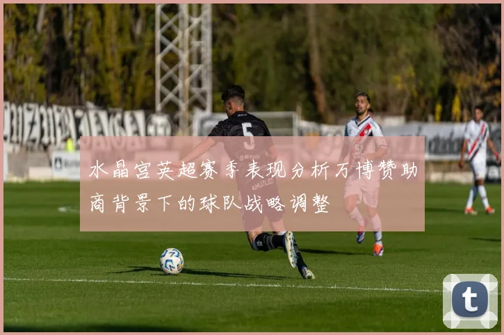 水晶宫英超赛季表现分析万博赞助商背景下的球队战略调整