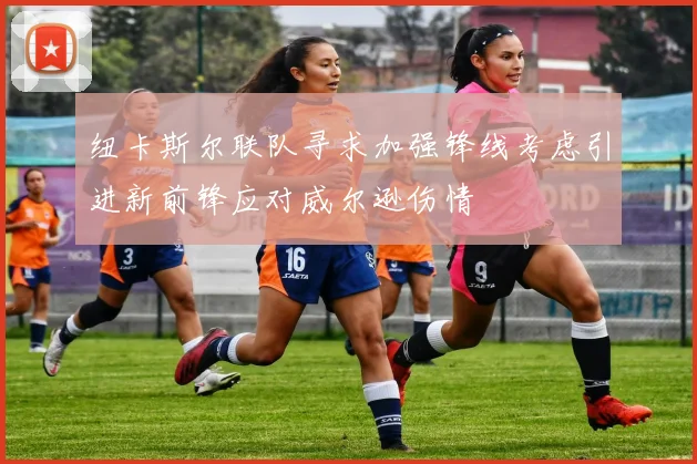 纽卡斯尔联队寻求加强锋线考虑引进新前锋应对威尔逊伤情