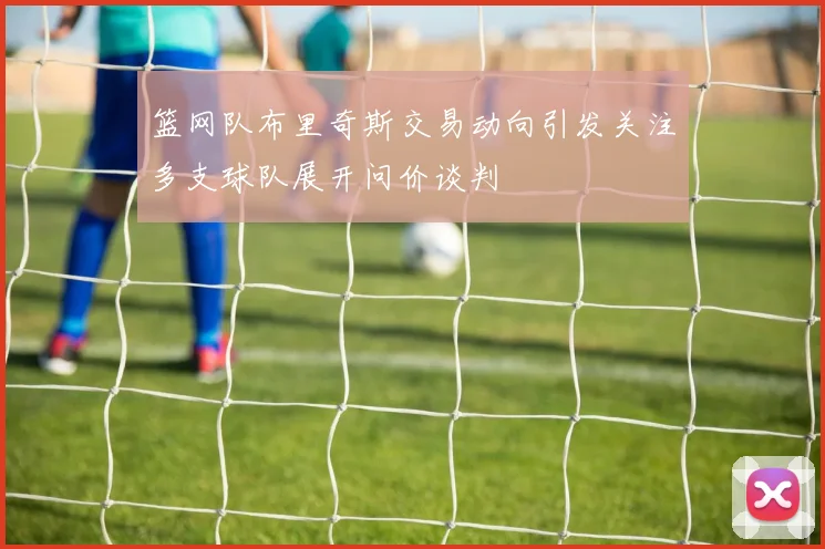 篮网队布里奇斯交易动向引发关注多支球队展开问价谈判