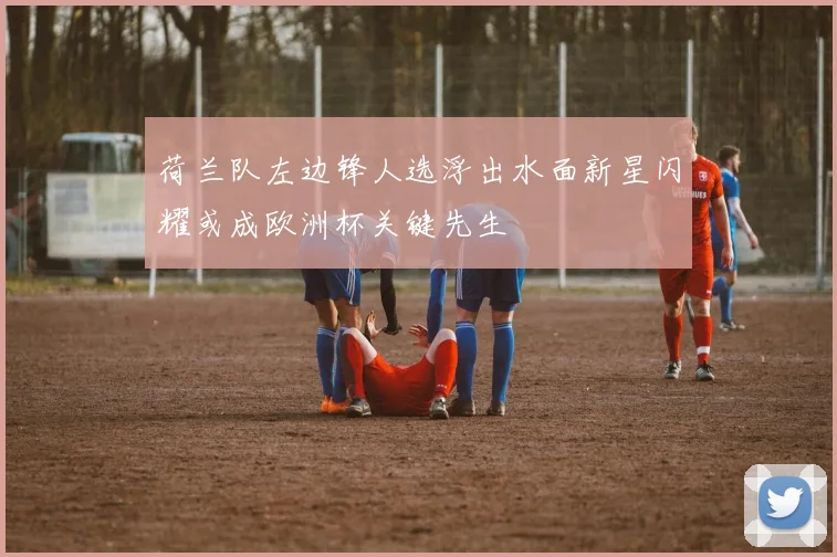 荷兰队左边锋人选浮出水面新星闪耀或成欧洲杯关键先生